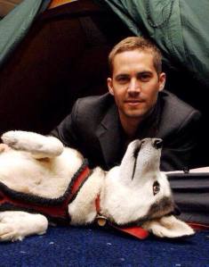 paul walker