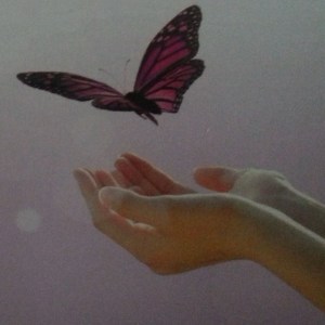 11113316_10207466852048551_5346013279995111671_o (1)