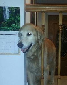 1779218_10205371754872431_8783966313643979018_n