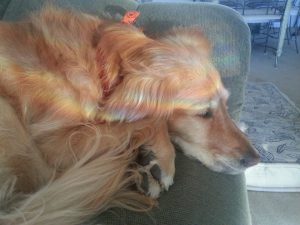 1800447_10205584017378861_3500581129820461181_n