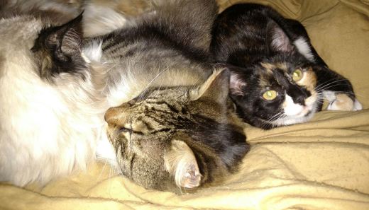 16299936_10212062657660819_2987795221557421198_o