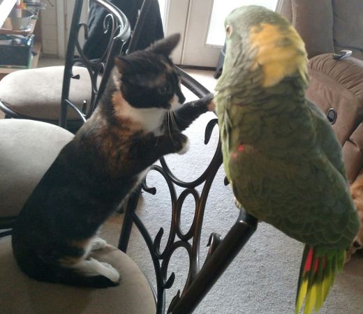 17015920_10212382069325911_7422244126469017210_o